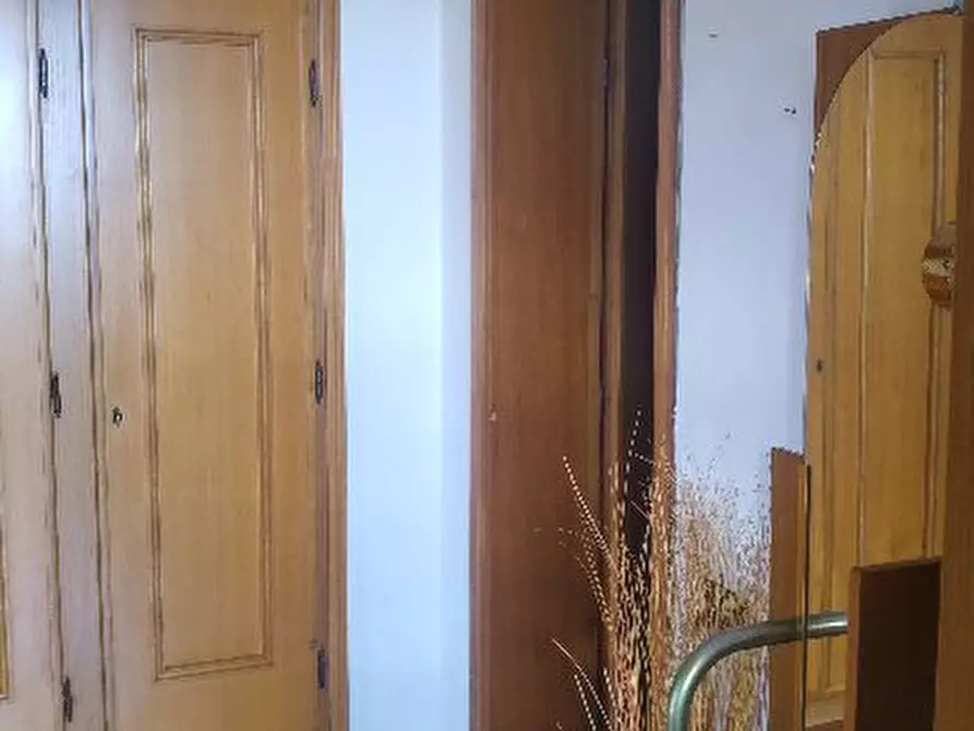 Immagine 13 di Appartamento in vendita  a Rosignano Marittimo