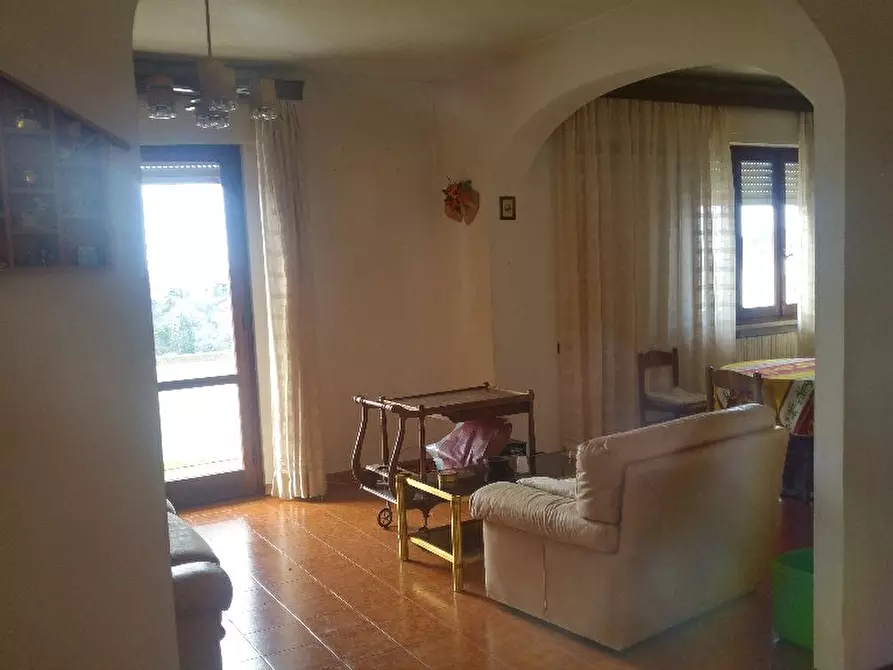 Immagine 9 di Appartamento in vendita  a Rosignano Marittimo