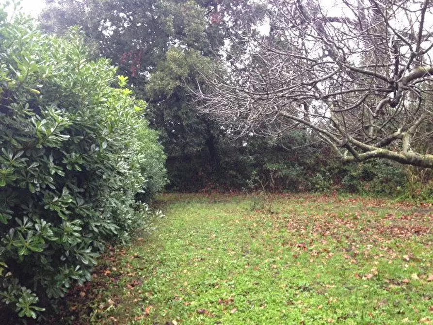 Immagine 35 di Palazzo in vendita  a Vecchiano