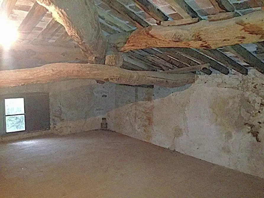 Immagine 32 di Palazzo in vendita  a Vecchiano