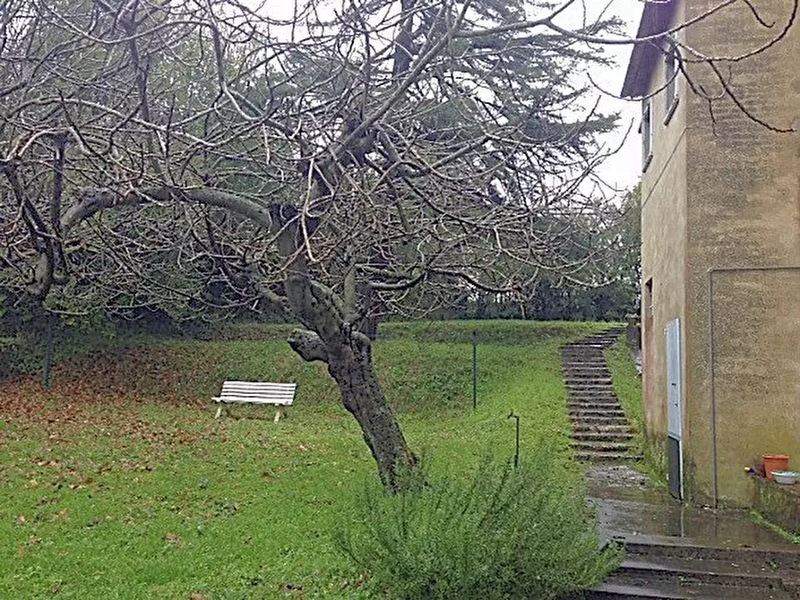 Immagine 37 di Palazzo in vendita  a Vecchiano