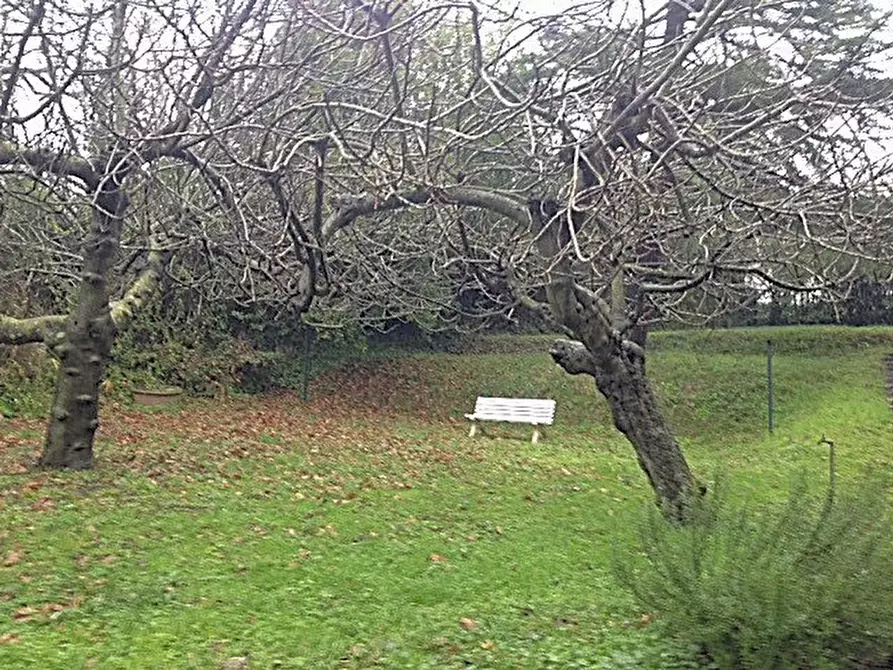 Immagine 36 di Palazzo in vendita  a Vecchiano