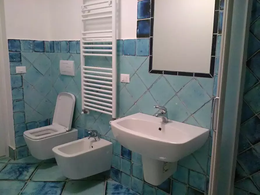 Immagine 16 di Appartamento in affitto  a Viareggio