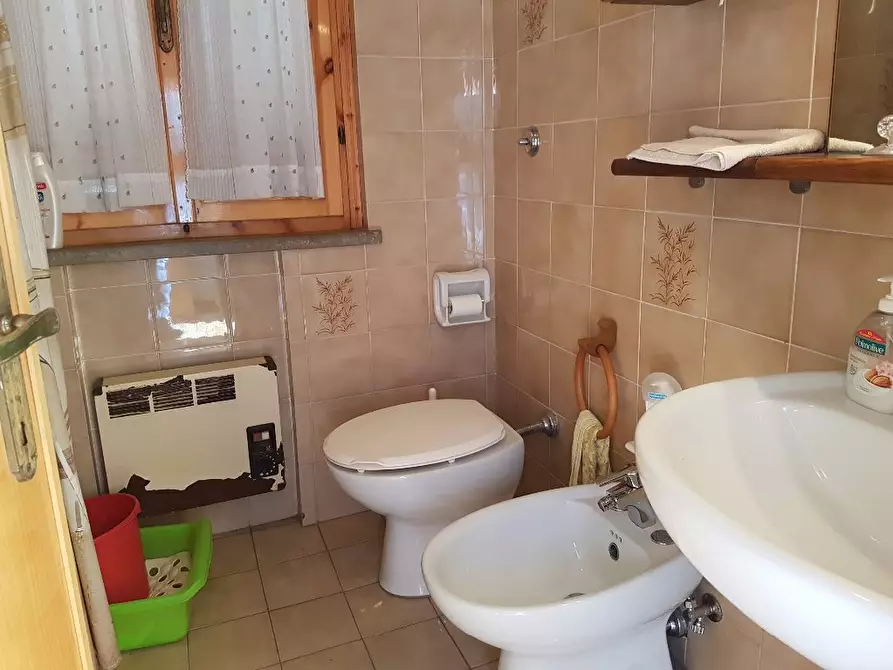 Immagine 5 di Appartamento in affitto  a Rosignano Marittimo