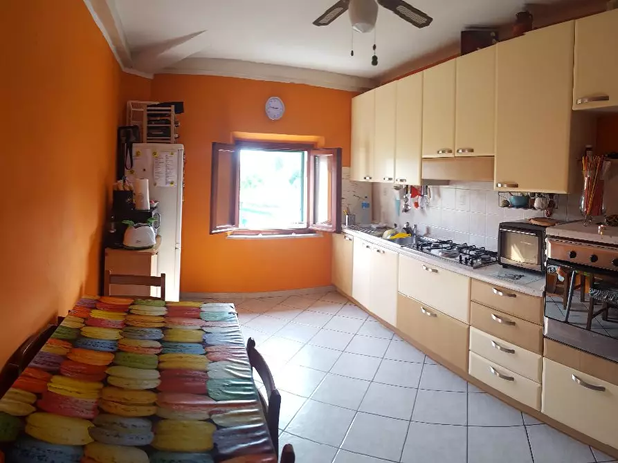 Immagine 2 di Appartamento in vendita  a Fauglia