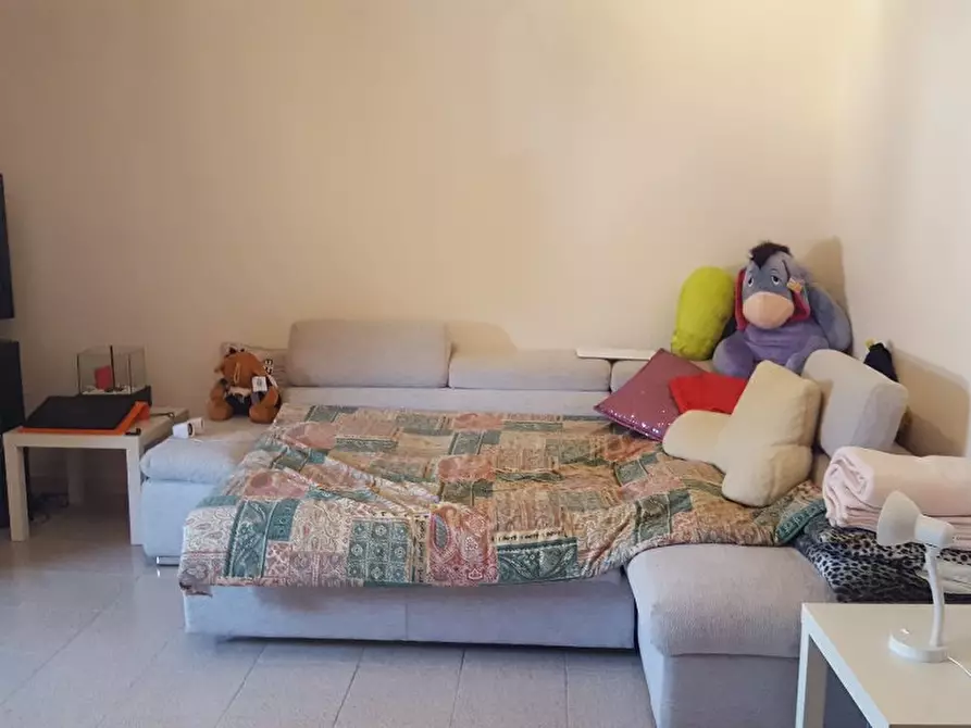 Immagine 11 di Appartamento in vendita  a Fauglia