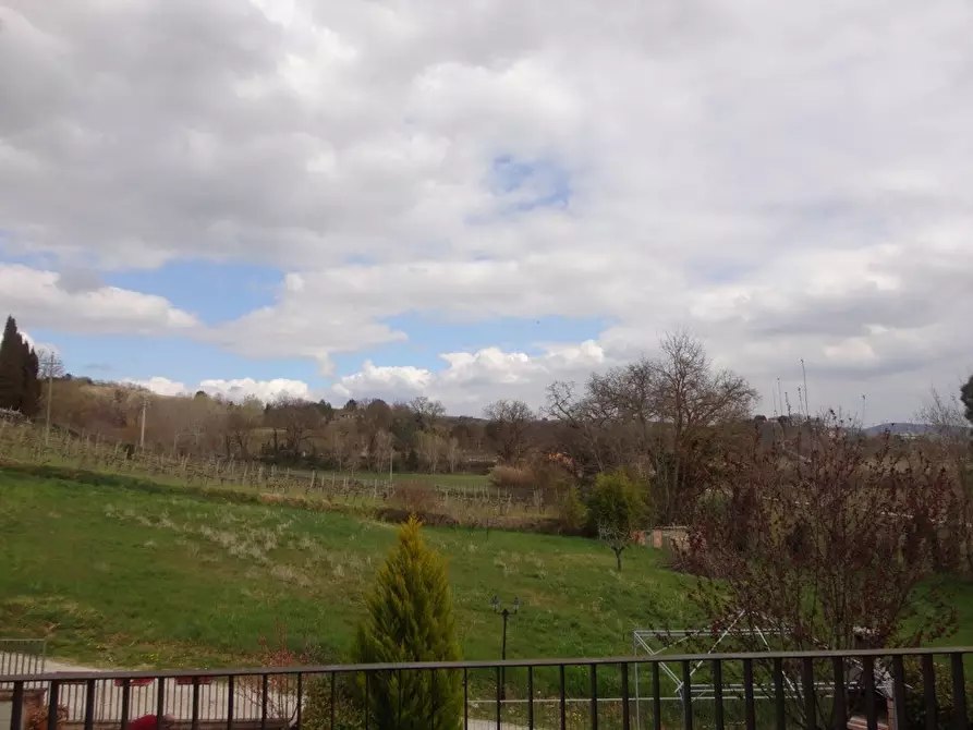 Immagine 5 di Appartamento in vendita  a Montalcino