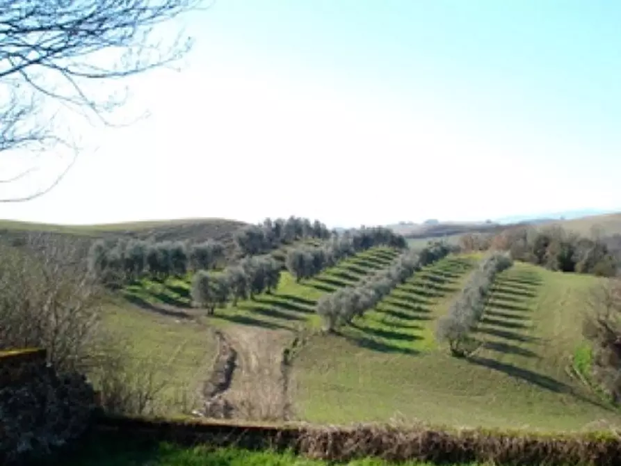 Immagine 17 di Casa colonica in vendita  a Asciano