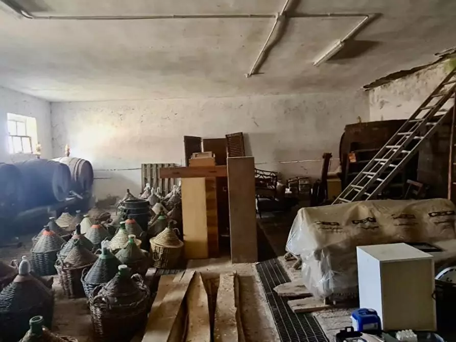 Immagine 15 di Casa colonica in vendita  a Asciano
