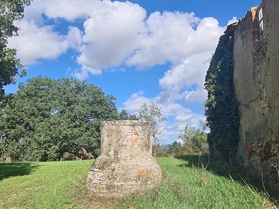 Immagine 20 di Casa colonica in vendita  a Asciano