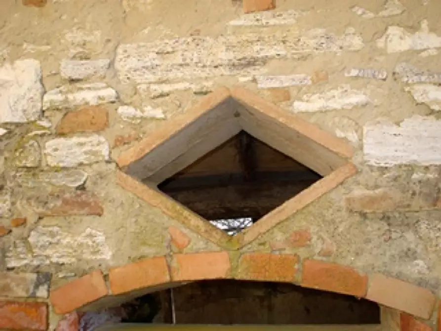 Immagine 3 di Casa colonica in vendita  a Asciano
