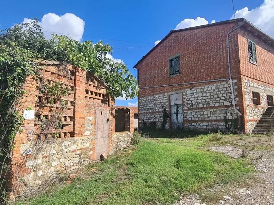 Immagine 6 di Casa colonica in vendita  a Asciano
