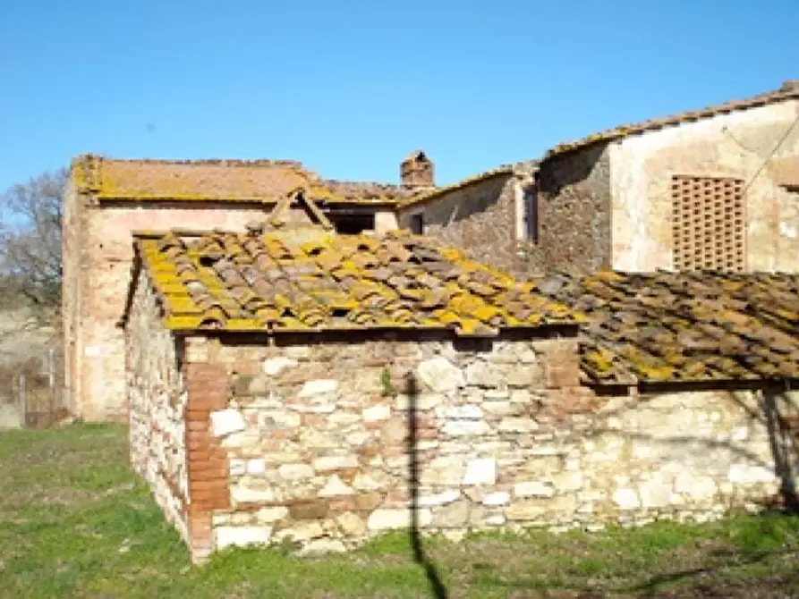 Immagine 2 di Casa colonica in vendita  a Asciano