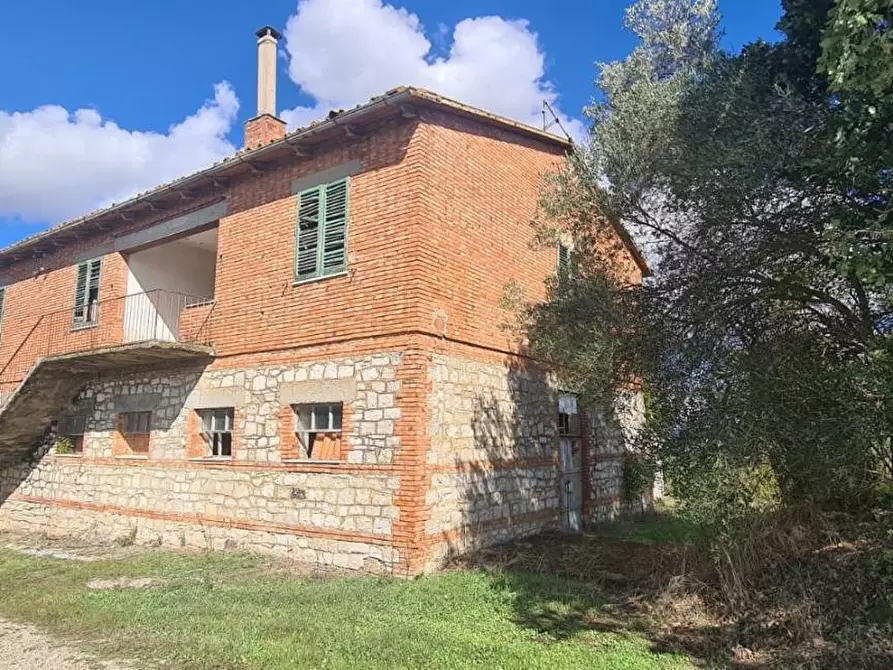 Immagine 8 di Casa colonica in vendita  a Asciano