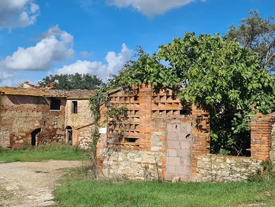 Immagine 5 di Casa colonica in vendita  a Asciano