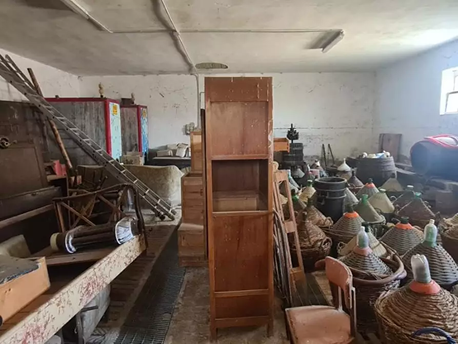 Immagine 16 di Casa colonica in vendita  a Asciano