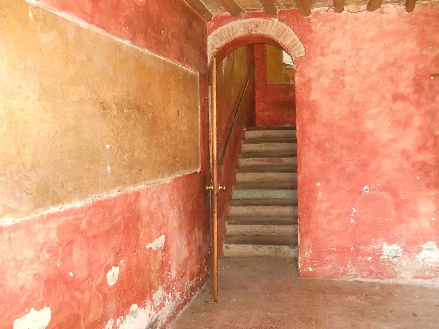Immagine 3 di Casa colonica in vendita  a Calci