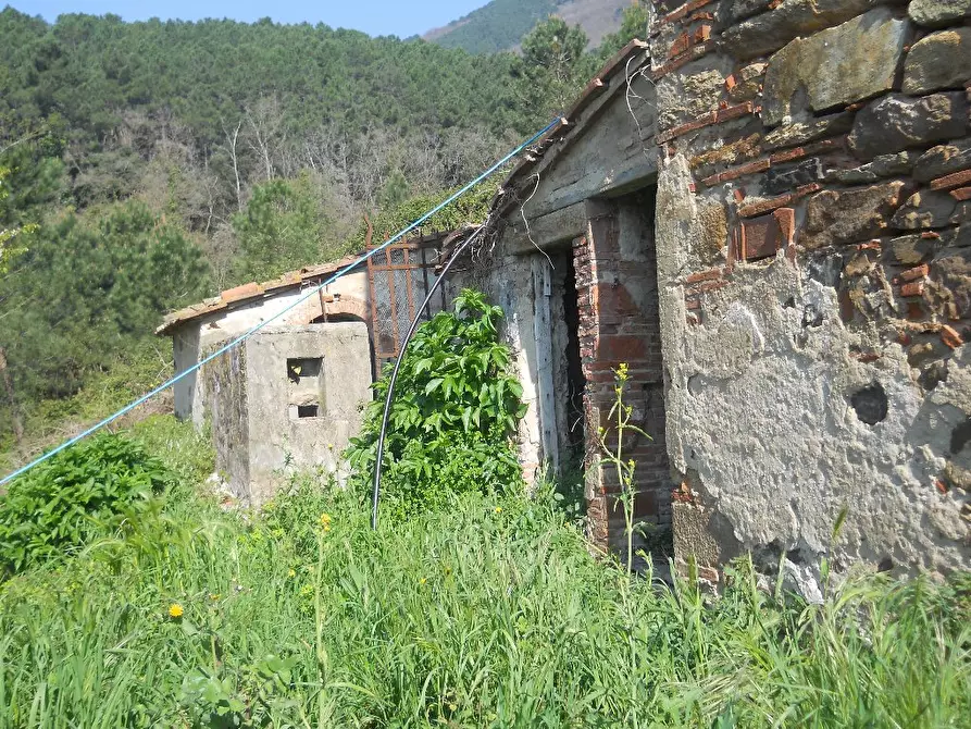 Immagine 4 di Casa colonica in vendita  a Calci