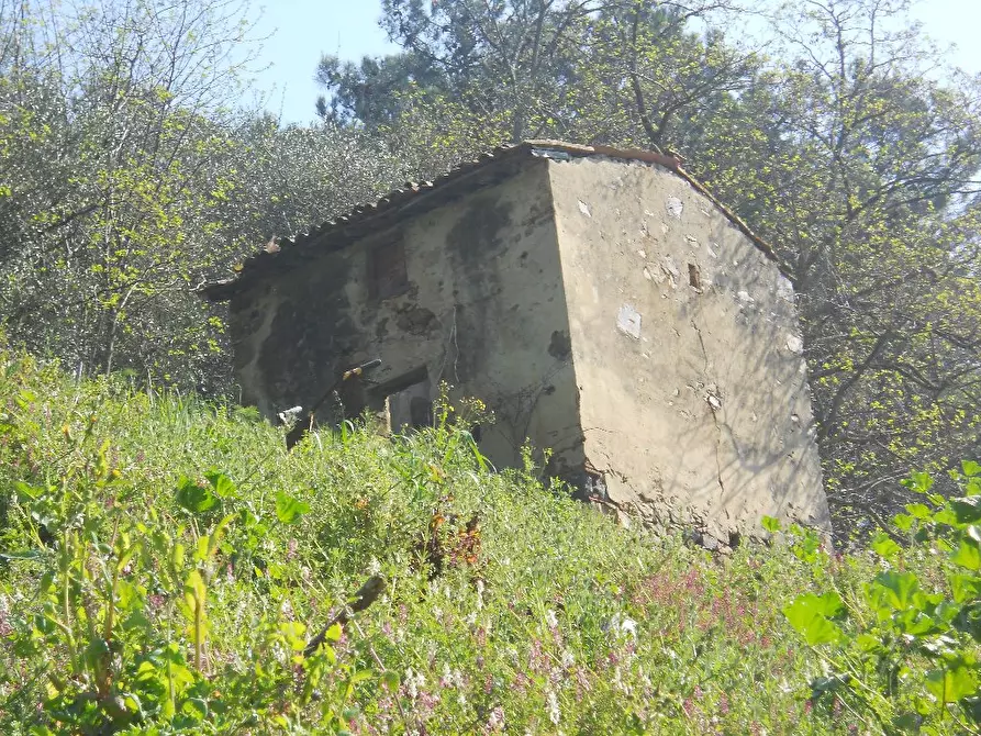 Immagine 18 di Casa colonica in vendita  a Calci