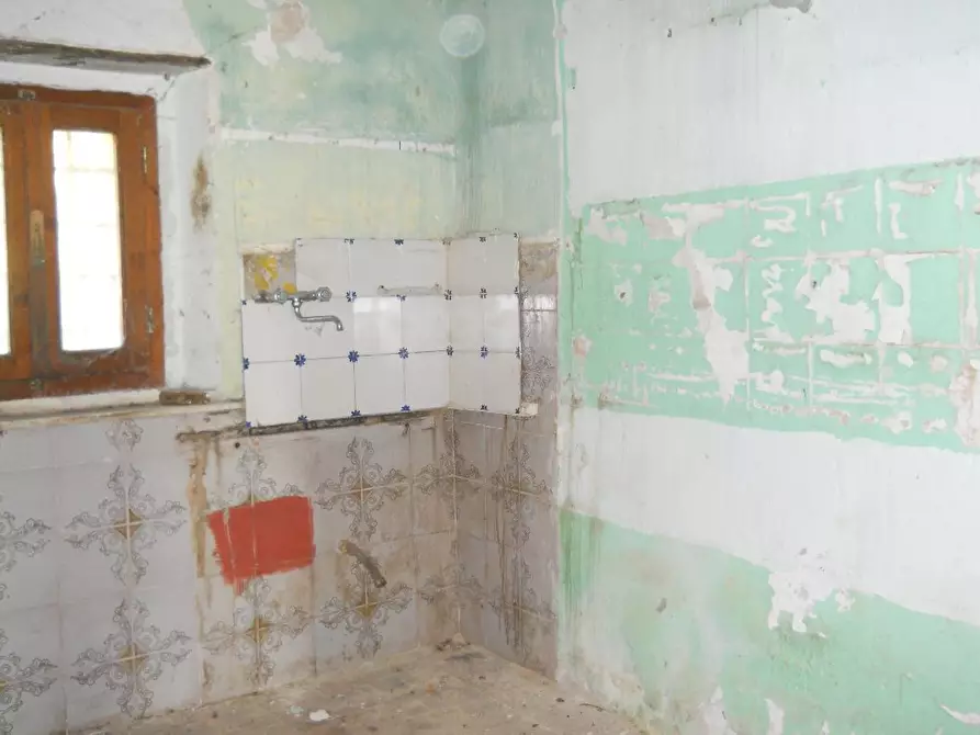 Immagine 16 di Casa colonica in vendita  a Calci