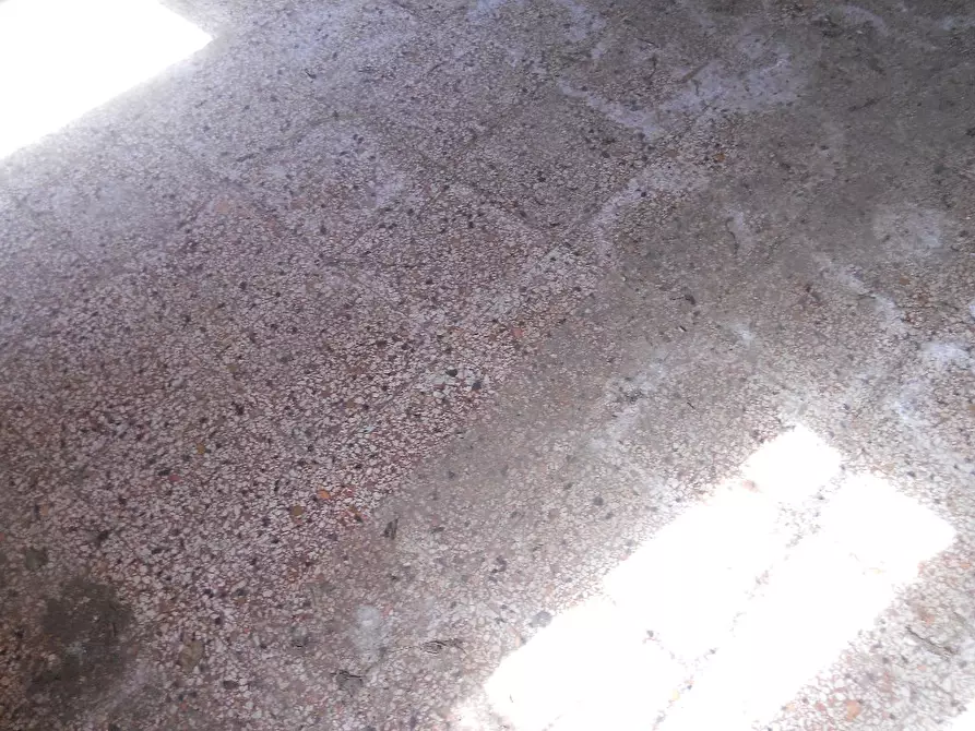 Immagine 13 di Casa colonica in vendita  a Calci