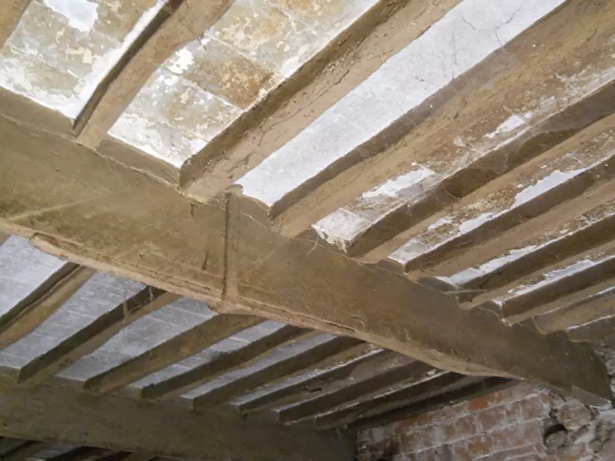 Immagine 11 di Casa colonica in vendita  a Calci