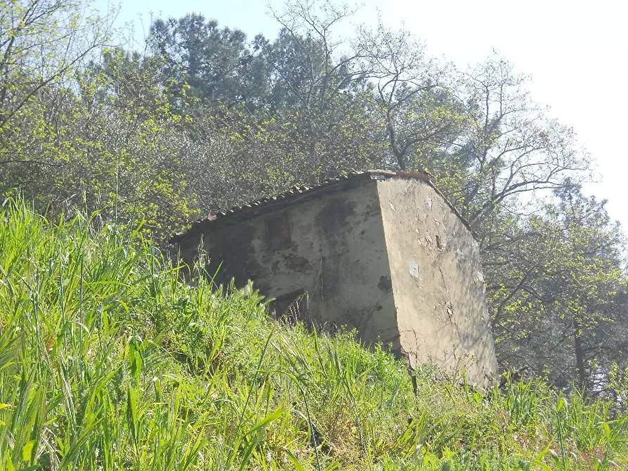 Immagine 17 di Casa colonica in vendita  a Calci