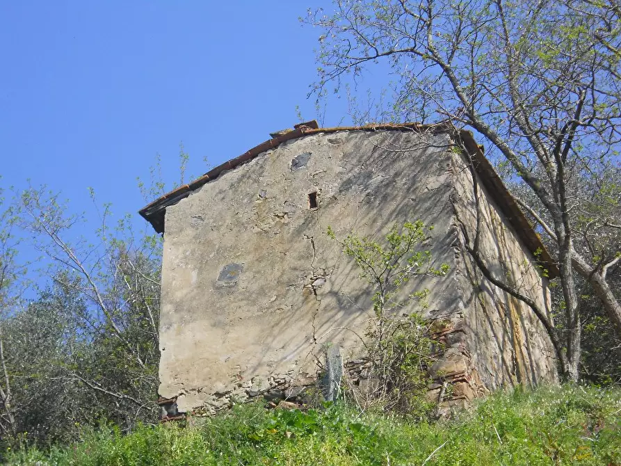 Immagine 19 di Casa colonica in vendita  a Calci