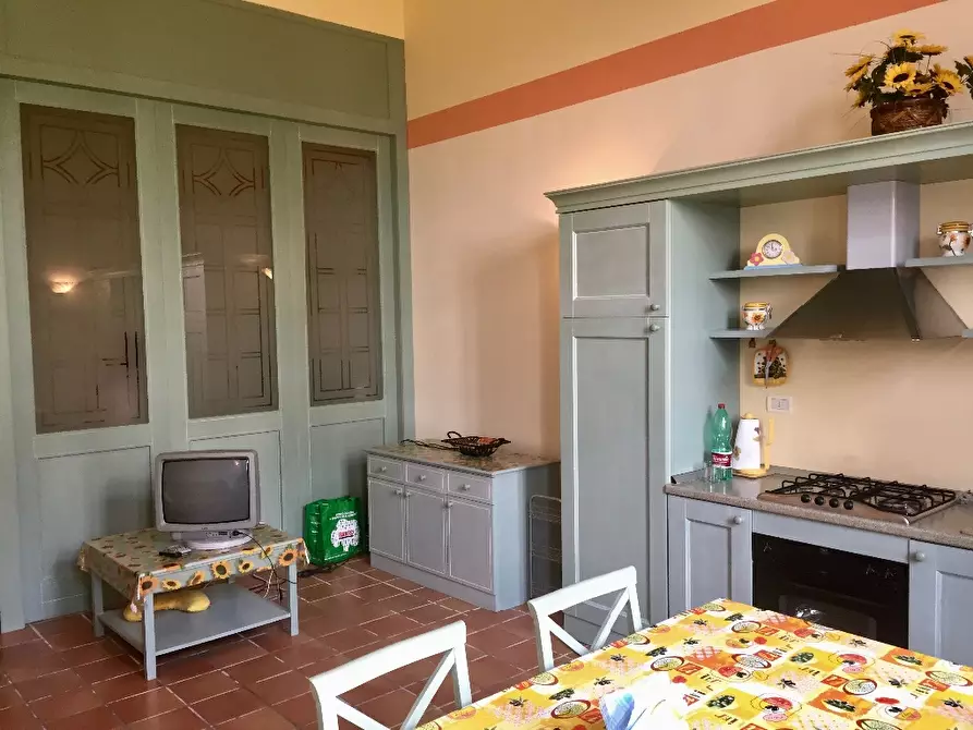 Immagine 12 di Appartamento in affitto  a Pisa