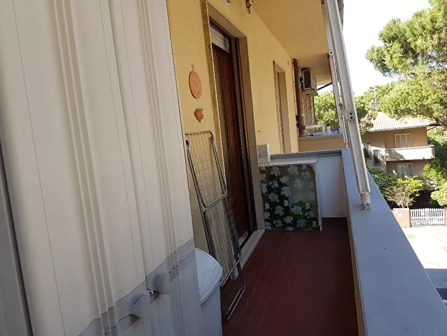 Immagine 11 di Appartamento in affitto  a Rosignano Marittimo