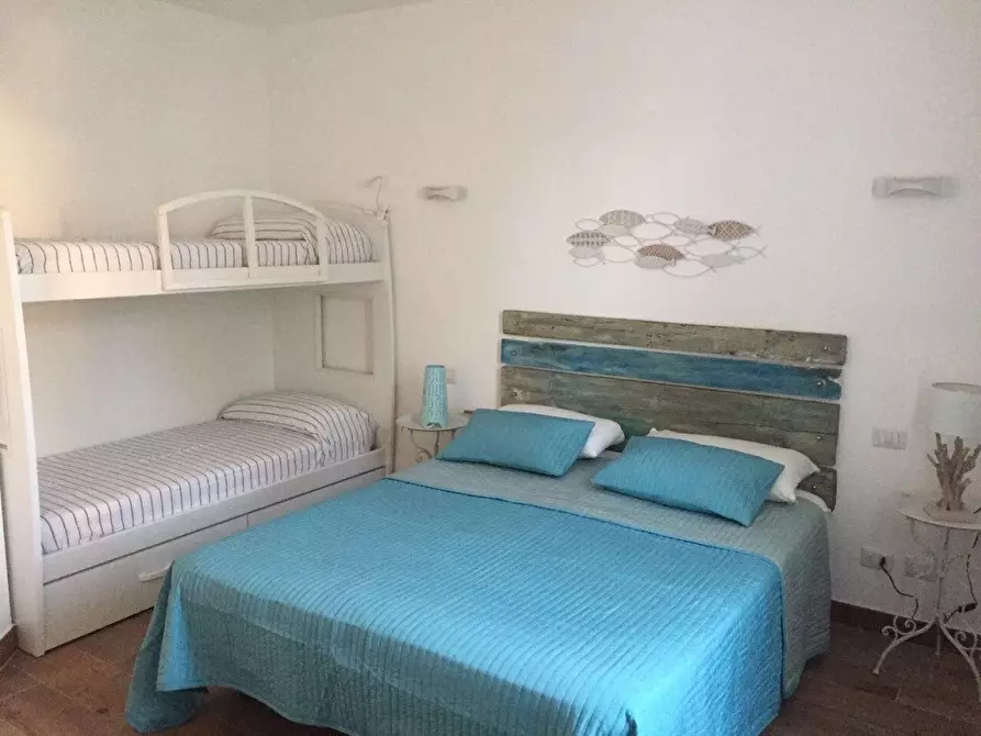 Immagine 13 di Appartamento in affitto  a Rosignano Marittimo