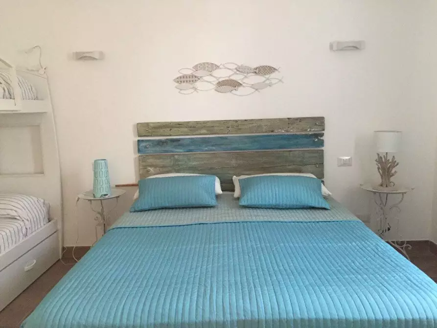 Immagine 16 di Appartamento in affitto  a Rosignano Marittimo