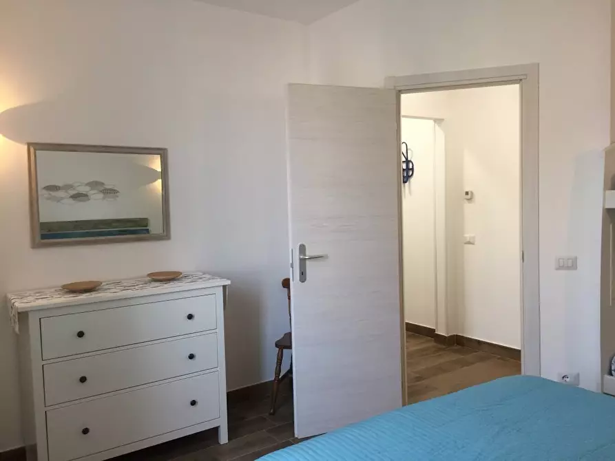 Immagine 14 di Appartamento in affitto  a Rosignano Marittimo