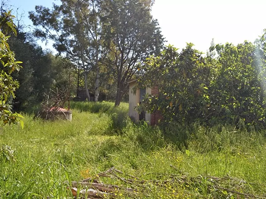 Immagine 1 di Terratetto in vendita  a Santa Maria A Monte