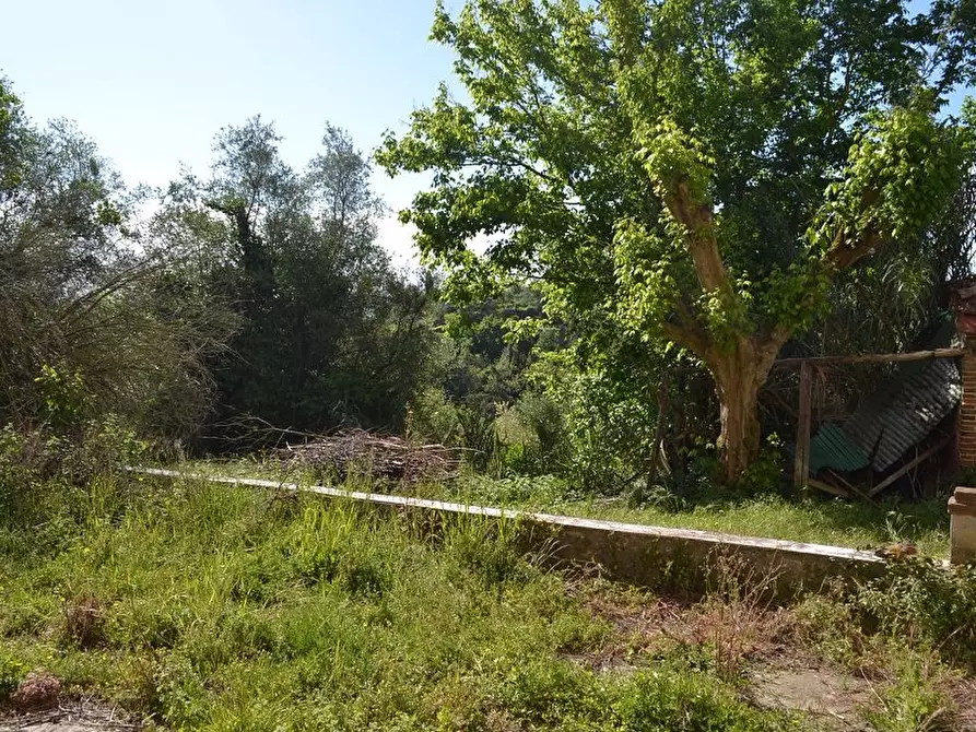 Immagine 3 di Terratetto in vendita  a Santa Maria A Monte