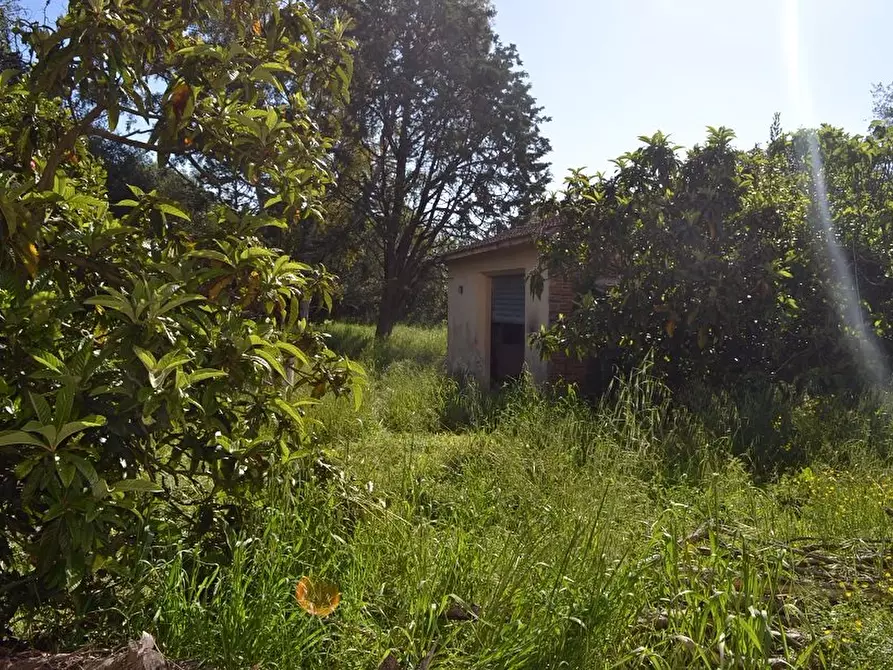 Immagine 2 di Terratetto in vendita  a Santa Maria A Monte