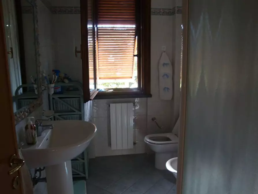 Immagine 4 di Appartamento in affitto  a Rosignano Marittimo