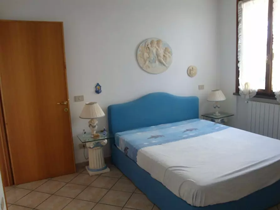 Immagine 6 di Appartamento in affitto  a Rosignano Marittimo