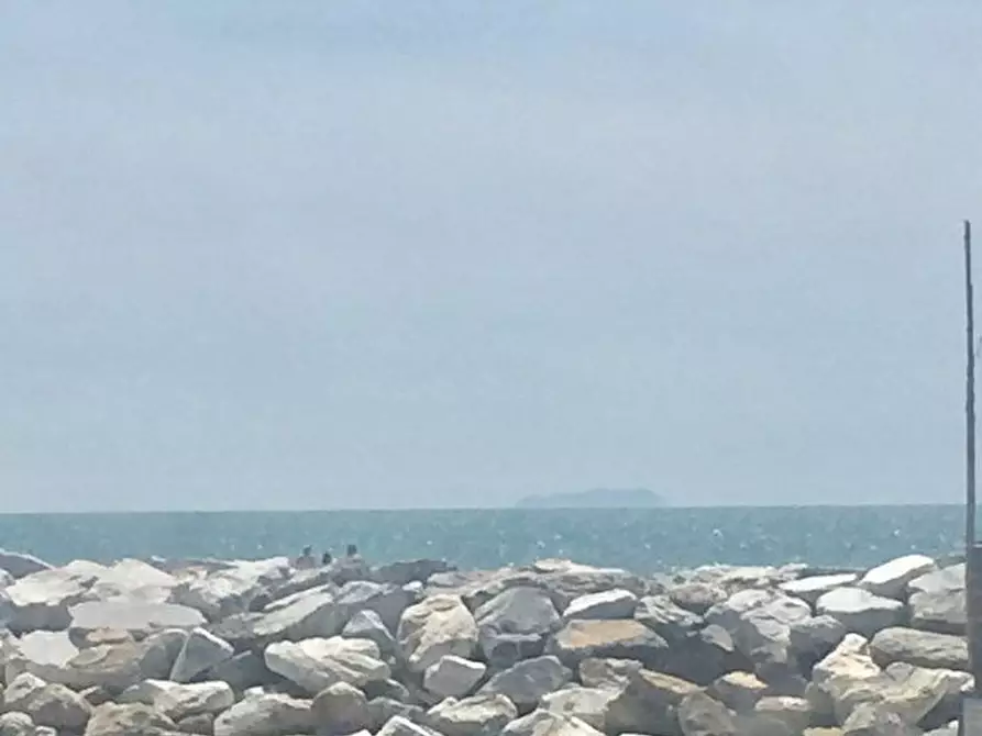 Immagine 4 di Appartamento in affitto  a Pisa