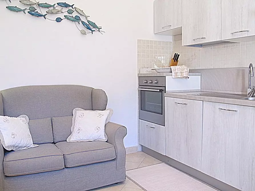 Immagine 21 di Appartamento in affitto  a Rosignano Marittimo