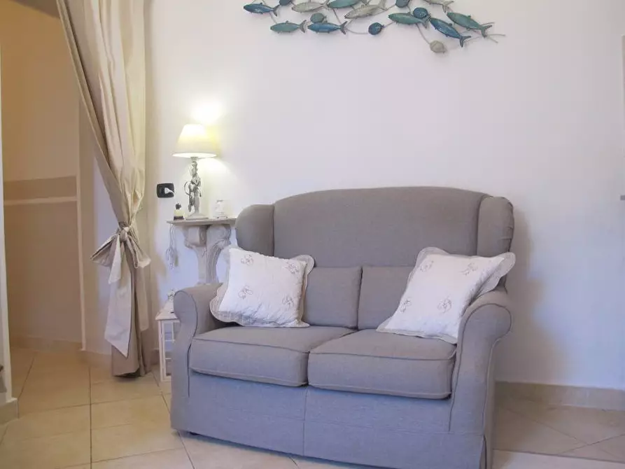 Immagine 22 di Appartamento in affitto  a Rosignano Marittimo