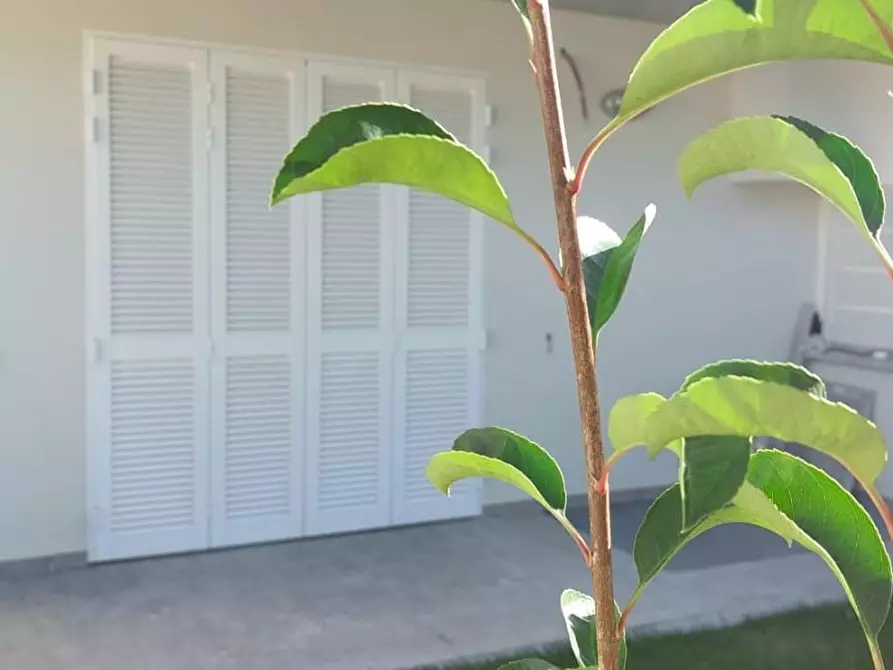 Immagine 2 di Terratetto in vendita  a Empoli