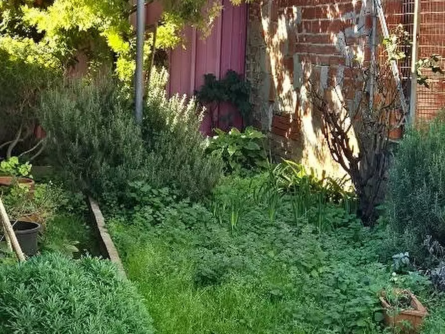 Immagine 22 di Terratetto in vendita  a Cascina