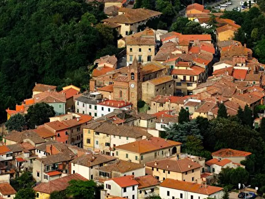 Immagine 3 di Appartamento in vendita  a Terricciola