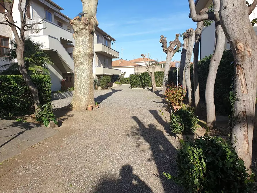 Immagine 10 di Appartamento in affitto  a Rosignano Marittimo