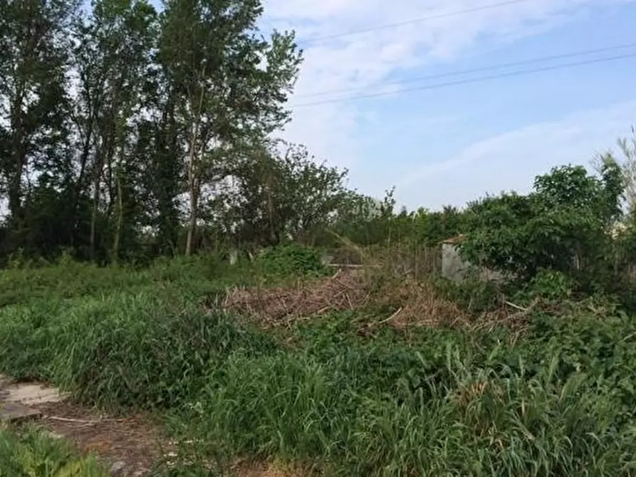 Immagine 3 di Terreno agricolo in vendita  a Cascina