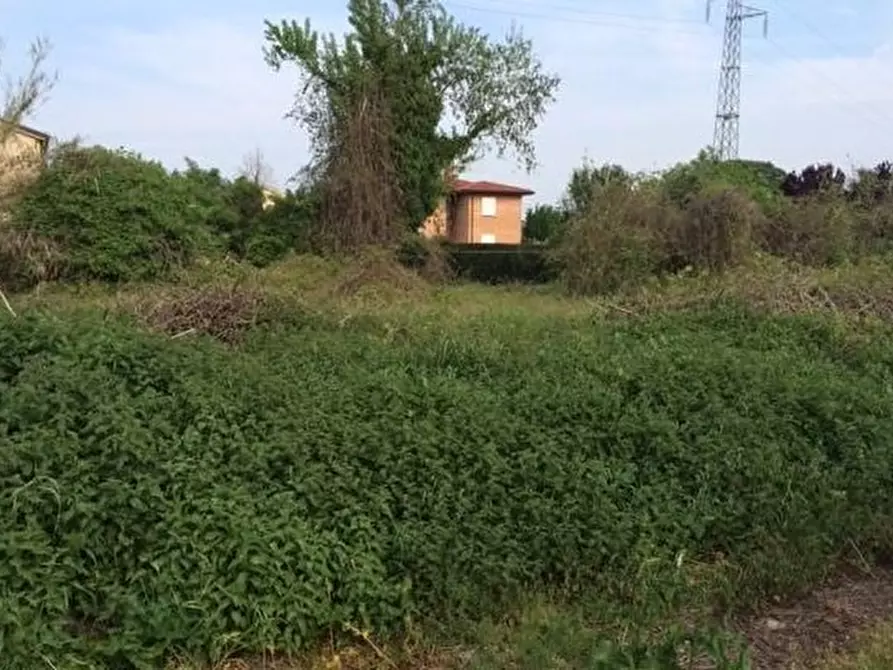 Immagine 5 di Terreno agricolo in vendita  a Cascina