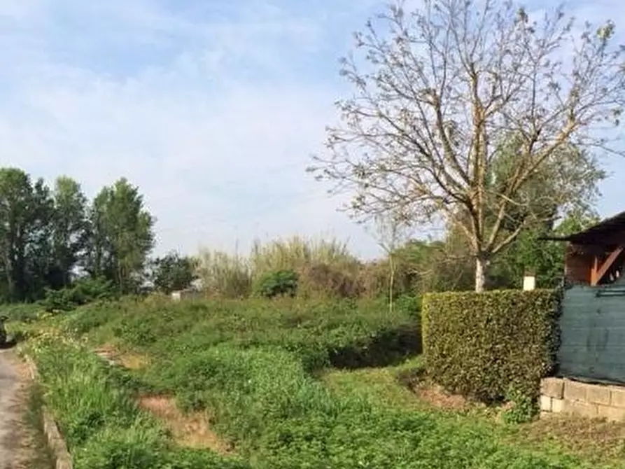 Immagine 2 di Terreno agricolo in vendita  a Cascina