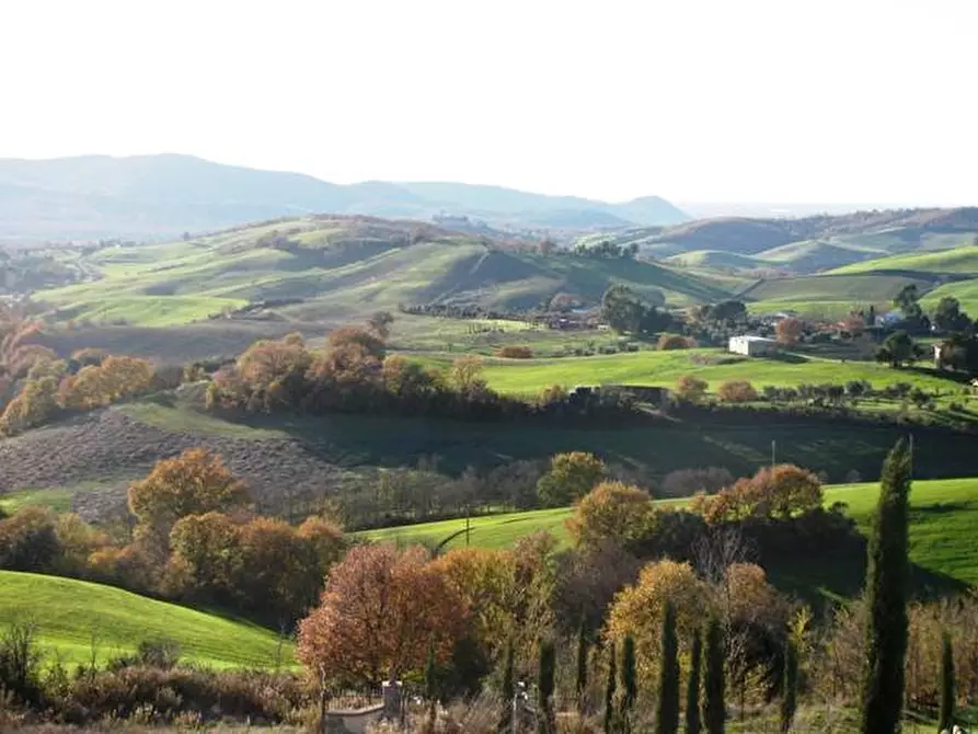 Immagine 20 di Villa in vendita  a Manciano