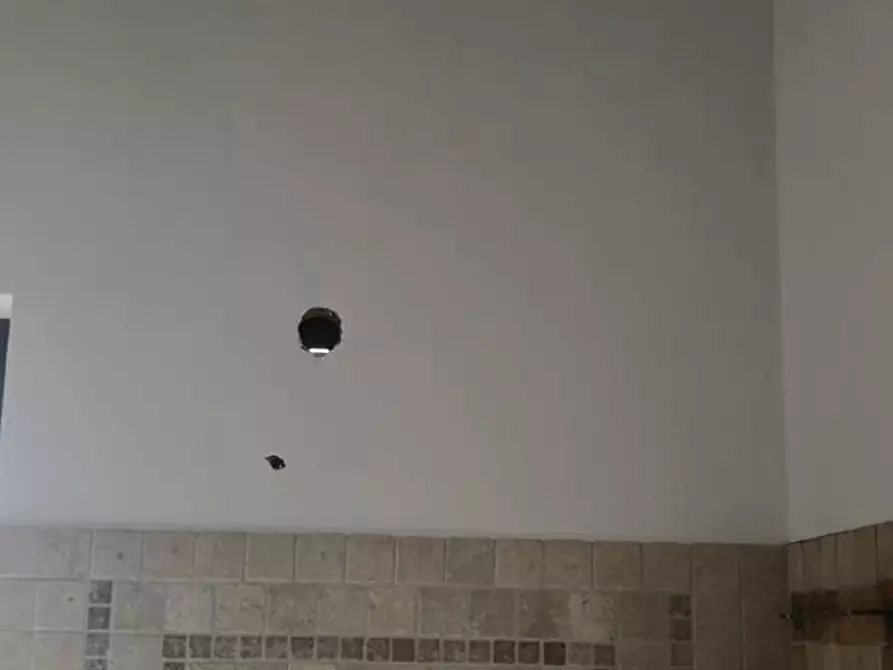 Immagine 33 di Villa in vendita  a Manciano